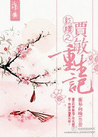 红楼贾敏重生记 ...