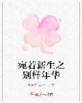 宛若新生歌词