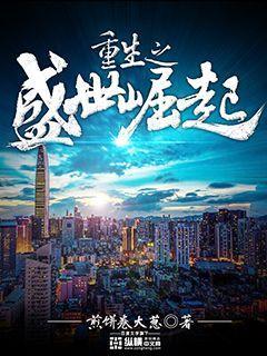 重生之盛世华章完结