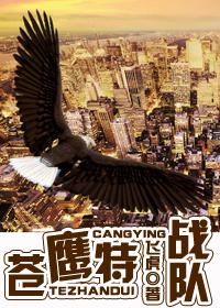 铁血战鹰队6