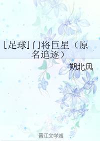 足球门将巨星原名追逐 朔北风