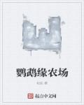 鹦鹉情缘结局
