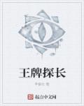 王牌探险家