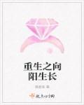 向阳重生电视剧
