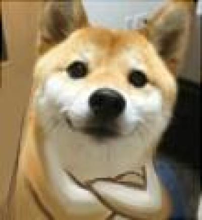 重生之修真巨星