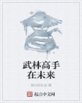 武林高手在校园后续