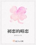 初恋暗恋记事