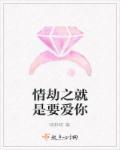 情劫之就是要爱你歌词
