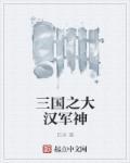 三国之大汉崛起无弹窗免费阅读