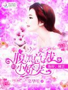 腹黑总裁小娇妻 赵先生