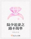 陆少追妻成瘾在线阅读