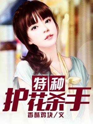 特种护花杀手TXT