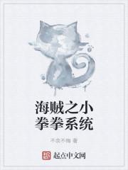 海贼之拳撼九天免费阅读