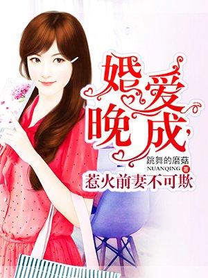 惹火前妻不可欺