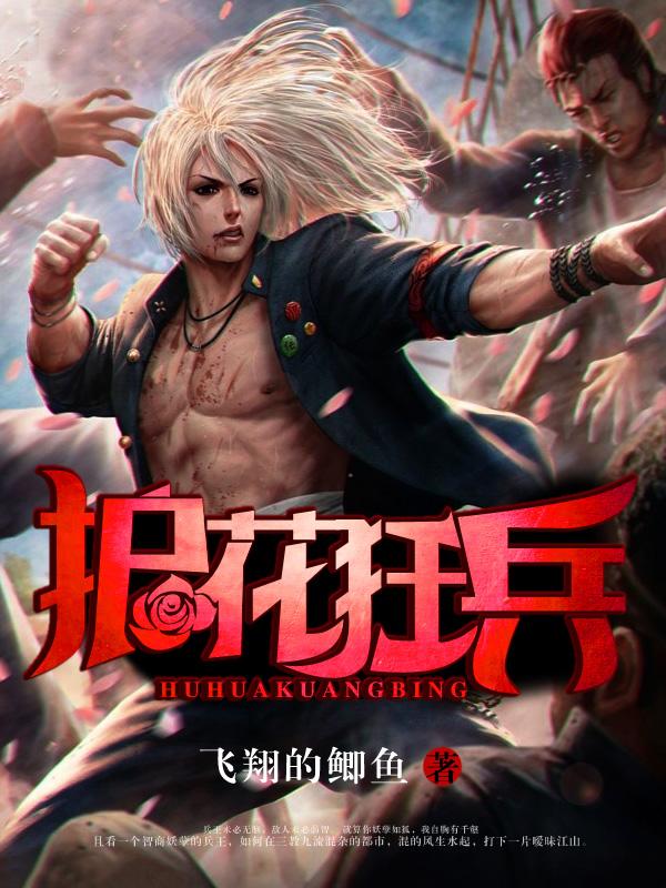 护花狂兵陈阳