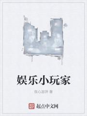 娱乐玩家什么意思