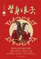 替身娘子讲的什么内容
