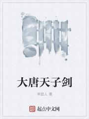 大唐天子52度浓香型酒价格