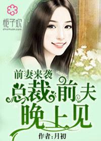 前妻来袭总裁请接招