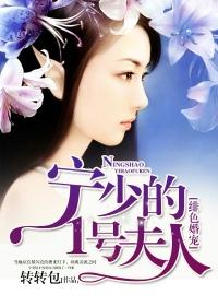 宁少的婚约免费阅读全本