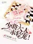 少将大人求放过免费阅读