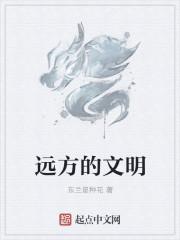 远方的文字