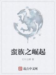 蛮族崛起第二季免费观看全集