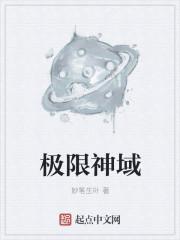 极限神域图片