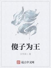 傻子王妃tt
