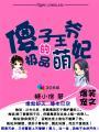 傻子王爷的极品宠妃