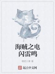 海贼之响雷到手