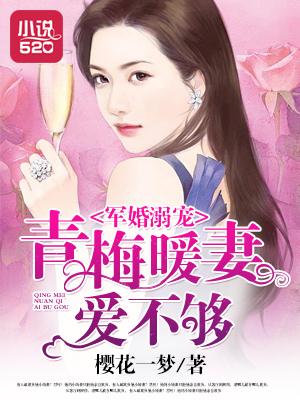 军婚推荐甜宠文青梅竹马