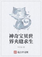 精灵宝可梦之夹缝求生