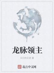 龙脉怎么用