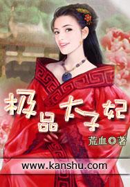 极品太子妃男主质子