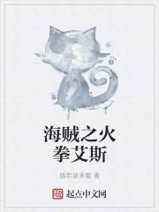 海贼之火拳艾斯免费阅读