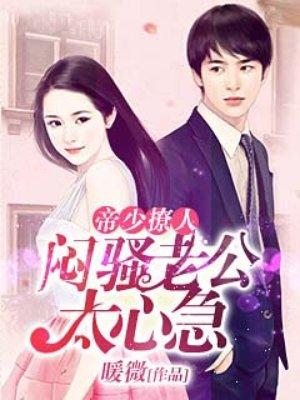 闷骚老公宠上瘾