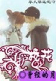 校花守护神