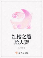 红楼之尴尬夫妻谁是穿越的