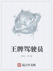 王牌驾驶员丽莎