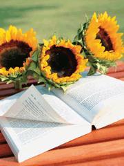 小白龙是哪个明星