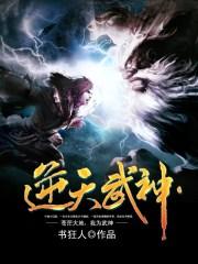 逆天武神书狂人TXT