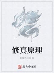 修真是怎么回事