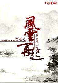 仕途之风云再起 无错版