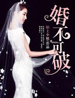 婚不可破洛楠荀宜修