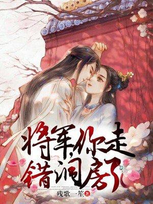 将军你走错洞房了广播剧
