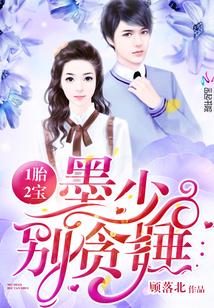 一胎两宝墨少宠妻如命