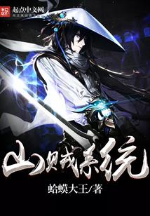 最强山贼系统书评