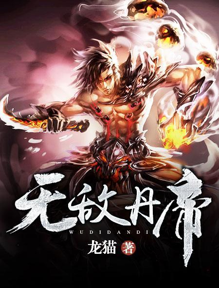 无敌丹帝完整版