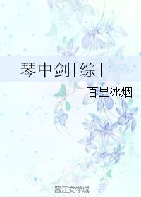 琴中剑txt